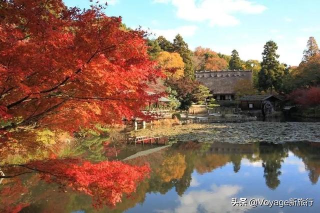 万叶集作者,万叶集原文