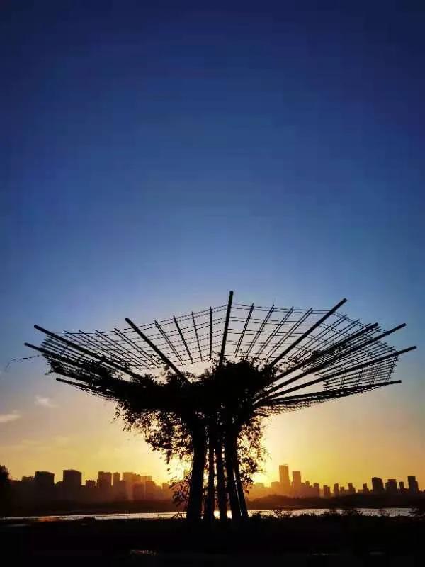 华为seaal10是什么型号的手机，型号为seaal10什么手机