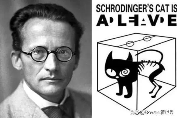 推特是干什么的软件啊，推特是干什么的软件呀