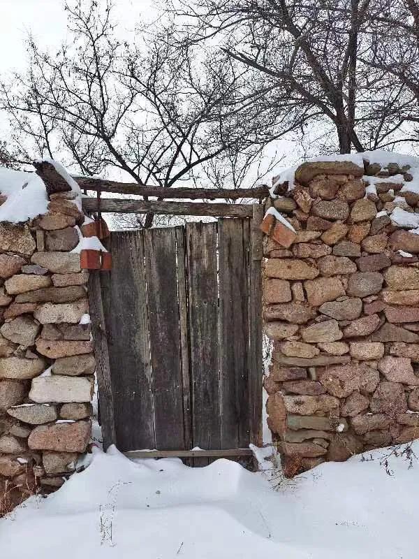 华为seaal10是什么型号的手机，型号为seaal10什么手机