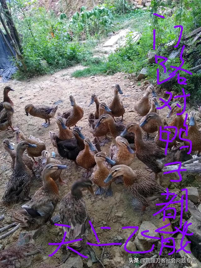 穷疯了快速挣钱的偏门方法，穷疯了快速挣钱的偏门方法(如何快速赚到100万)