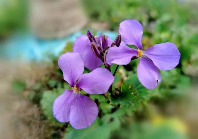 形容阳光正好的唯美句子，阳光正好的唯美句子普通单位交了五险一金有退休工资