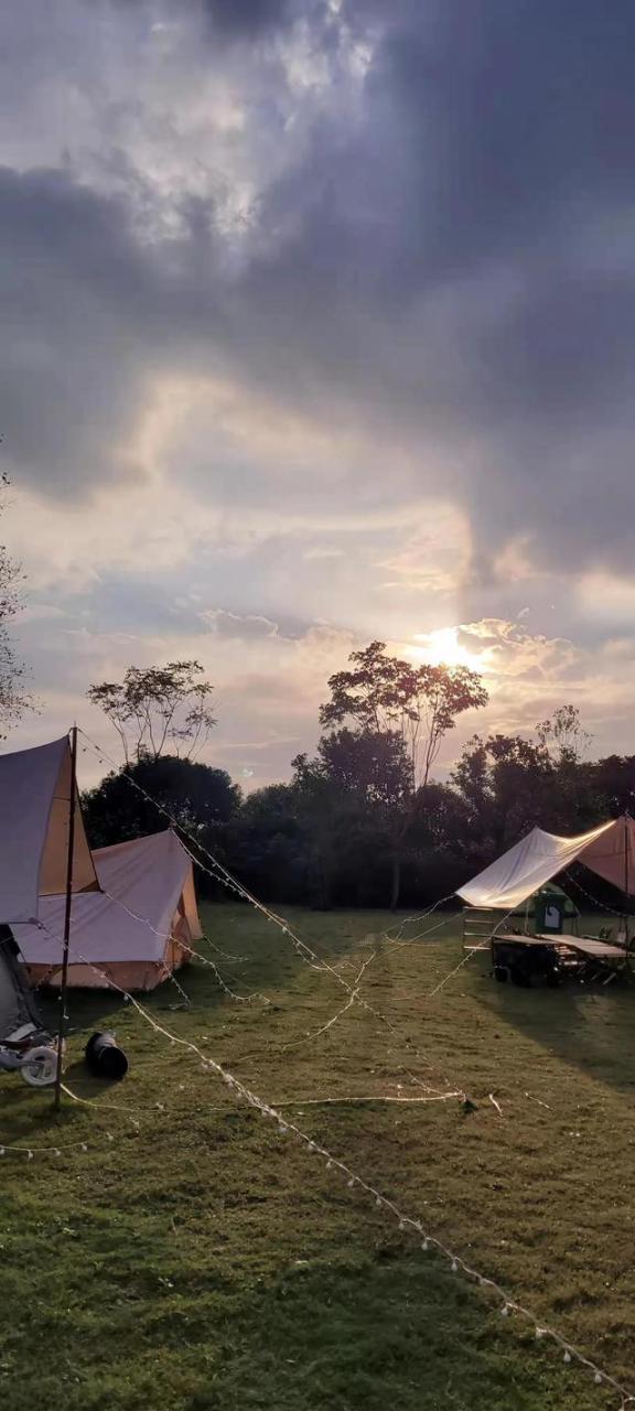 华为seaal10是什么型号的手机，型号为seaal10什么手机