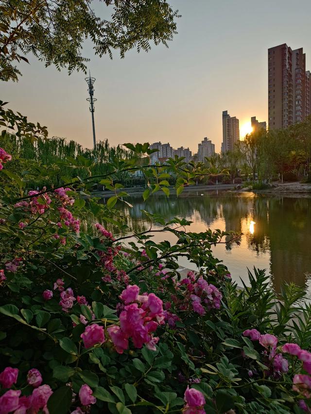 幼儿园毕业父母给孩子的寄语,父母给孩子的寄语怎么写