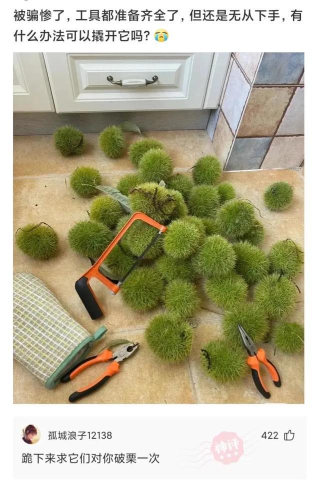 小学生网名女生，小学生网名男生