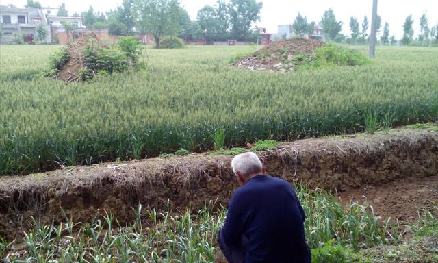 国家推行火葬的隐因，国家实行火葬的真正目的