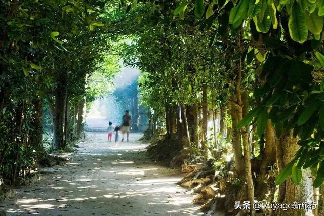 万叶集作者,万叶集原文