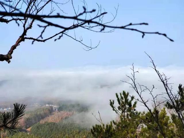 华为seaal10是什么型号的手机，型号为seaal10什么手机