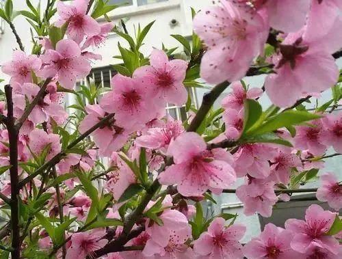 形容阳光正好的唯美句子，阳光正好的唯美句子普通单位交了五险一金有退休工资