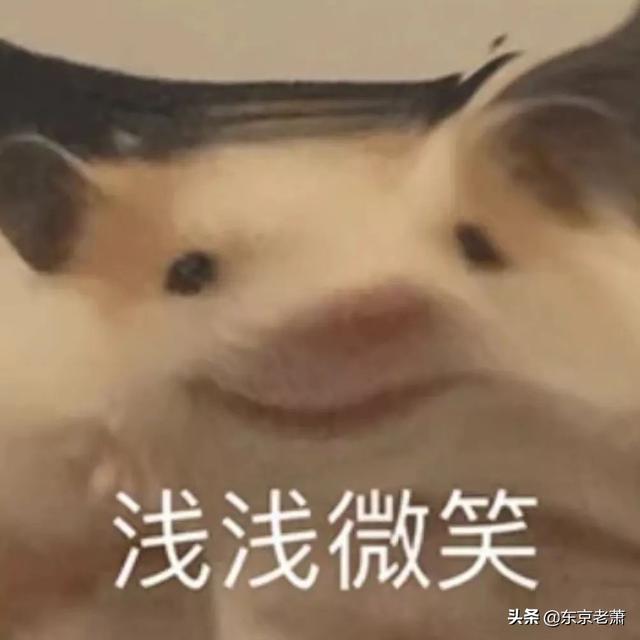 办理出国签证一共要多少钱呢英文，办理出国签证一共要多少钱呢英语