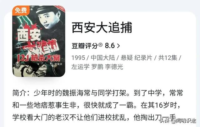 0大悍匪改编的电视剧惊天大劫案，10大悍匪改编的电视剧末路1997"