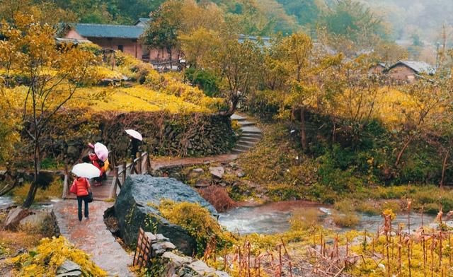 中国十大鬼村排行，中国十大鬼村 未公开