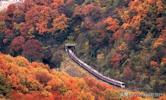 万叶集作者,万叶集原文