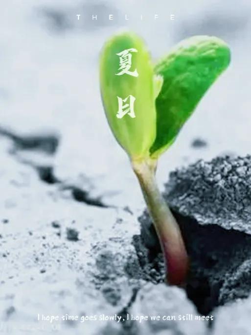 一年级填空什么的小草，什么的小草填上合适的词