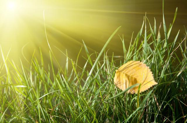 抖音上很火的自我介绍做生意，抖音上很火的自我介绍模板