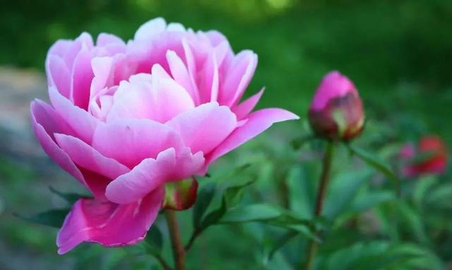 形容阳光正好的唯美句子，阳光正好的唯美句子普通单位交了五险一金有退休工资