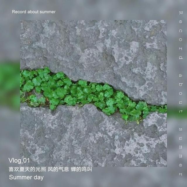 一年级填空什么的小草，什么的小草填上合适的词