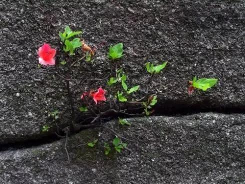 一年级填空什么的小草，什么的小草填上合适的词