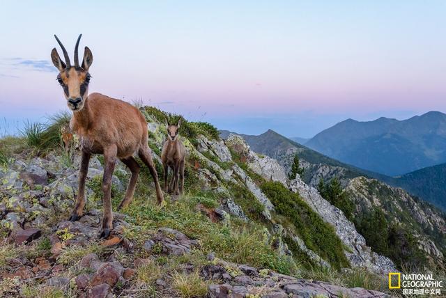 马航中国科学家名单，马航上的八名科学家研究的什么