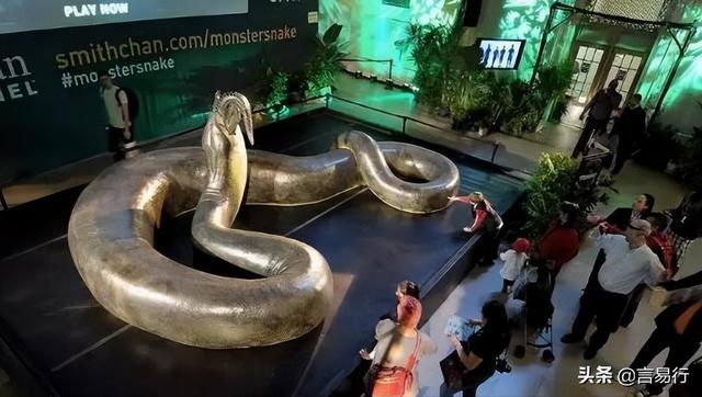 十大灭绝的可怕古生物（十大灭绝的奇怪古生物）