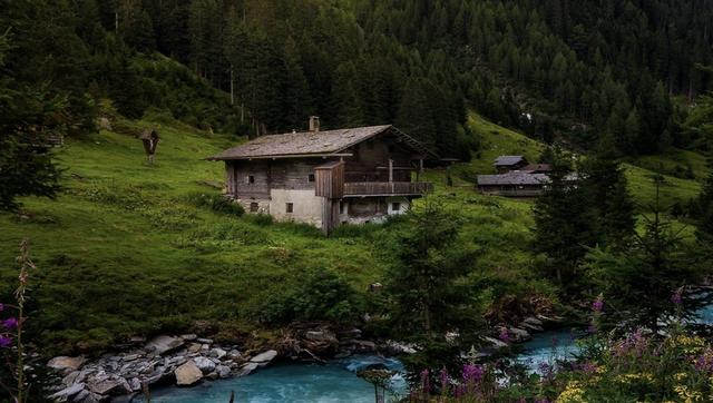 张扬跋扈张扬跋扈，张扬跋扈目中无人