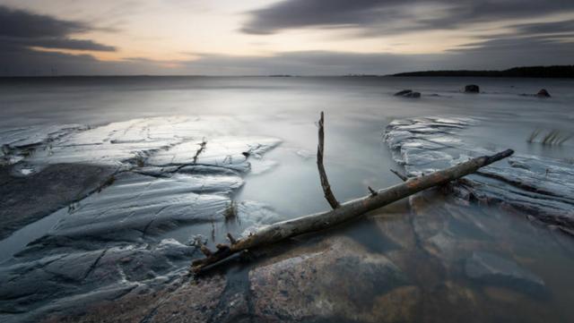 张扬跋扈张扬跋扈，张扬跋扈目中无人