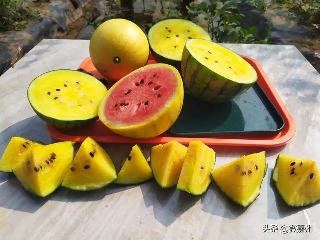 冰淇淋西瓜是什么品种图片大全，冰淇淋西瓜是什么品种图片介绍
