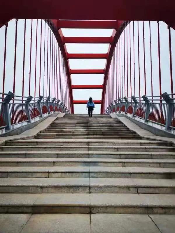 华为seaal10是什么型号的手机，型号为seaal10什么手机