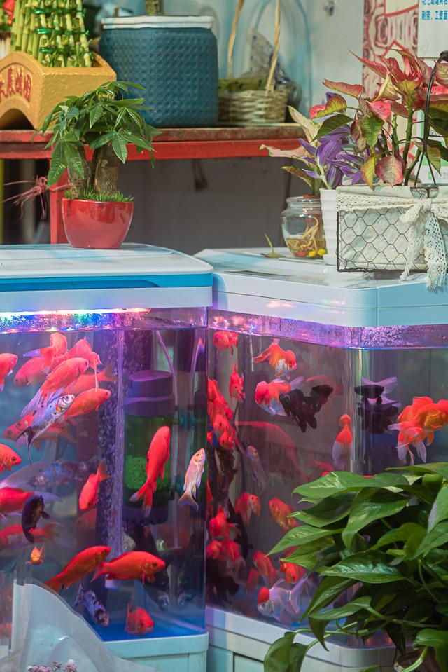 厚米是什么意思啊，厚米怎么拼写