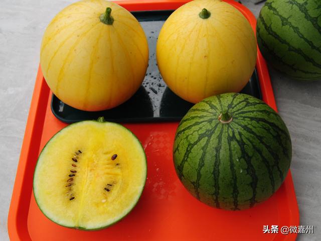冰淇淋西瓜是什么品种图片大全，冰淇淋西瓜是什么品种图片介绍