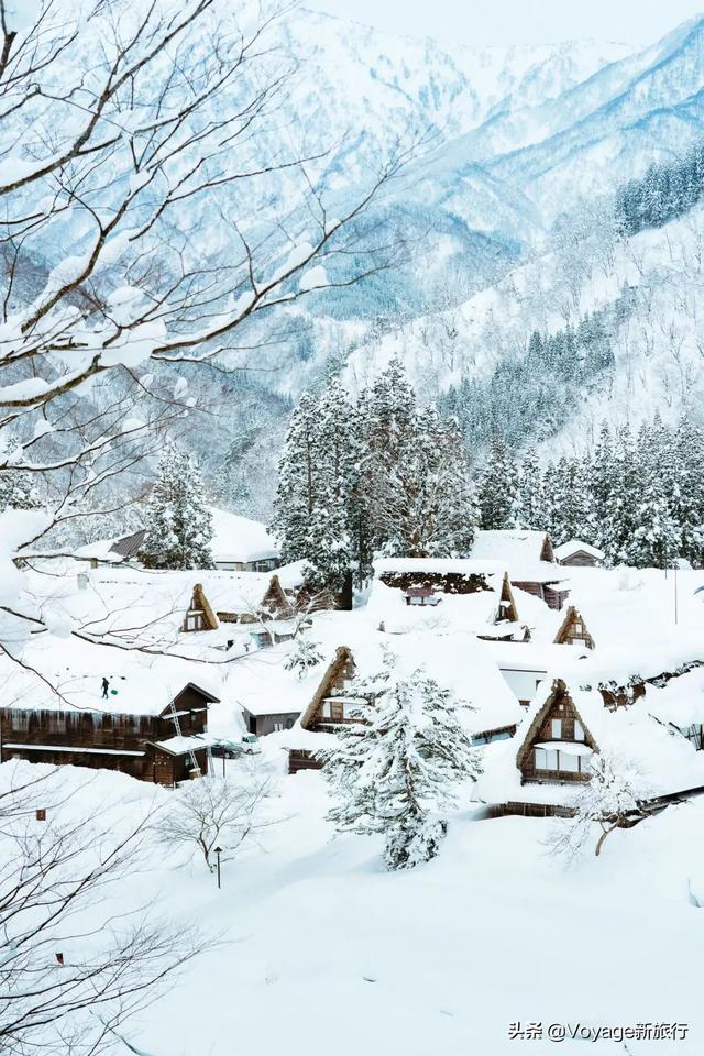 万叶集作者,万叶集原文