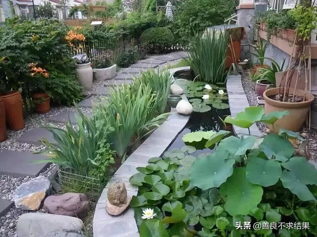 农家小院起什么雅名，农家小院取名大全