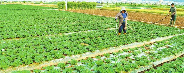 0个农村办厂项目农村办厂5011阅读，30个农村办厂项目工业园"