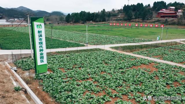 我儿豁你嘛老表，我儿豁你