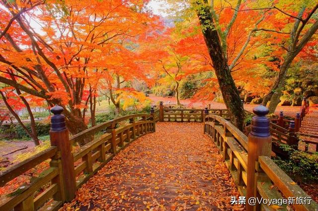 万叶集作者,万叶集原文