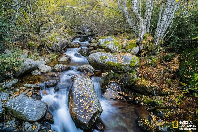 马航中国科学家名单，马航上的八名科学家研究的什么