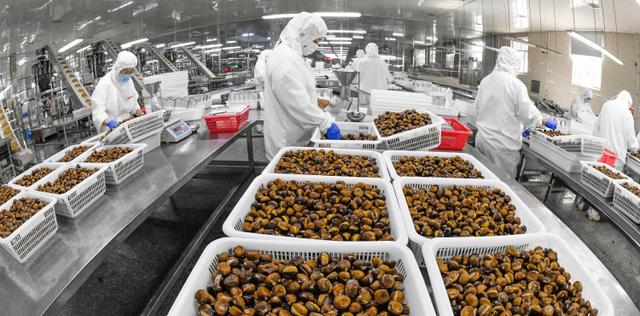 0个农村办厂项目农村办厂5011阅读，30个农村办厂项目工业园"