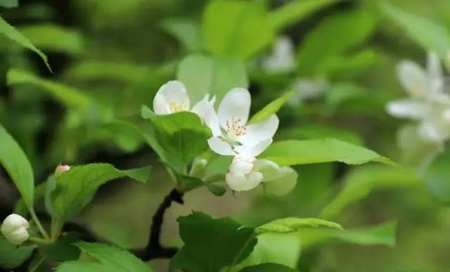 形容阳光正好的唯美句子，阳光正好的唯美句子普通单位交了五险一金有退休工资