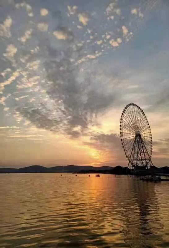 华为seaal10是什么型号的手机，型号为seaal10什么手机