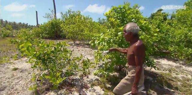 即将消失的国家日本排名，即将消失的国家日本有哪些