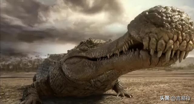 十大灭绝的可怕古生物（十大灭绝的奇怪古生物）