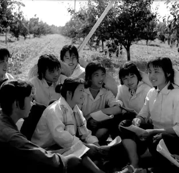 00部知青电视剧大全知青家庭,100部知青电视剧大全李琳"