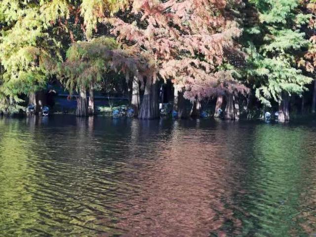 华为seaal10是什么型号的手机，型号为seaal10什么手机