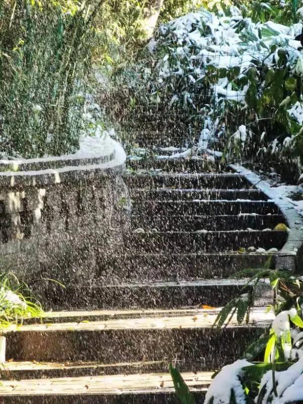 华为seaal10是什么型号的手机，型号为seaal10什么手机