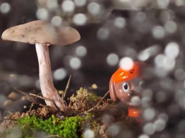 华为seaal10是什么型号的手机，型号为seaal10什么手机