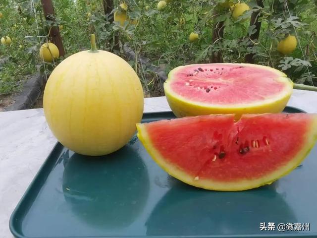 冰淇淋西瓜是什么品种图片大全，冰淇淋西瓜是什么品种图片介绍