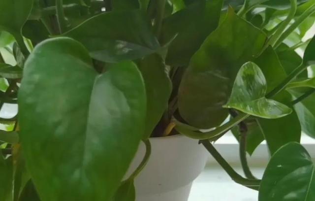 马克笔的痕迹怎样才能消掉在手上,马克笔的痕迹怎样才能消掉在手上小孩