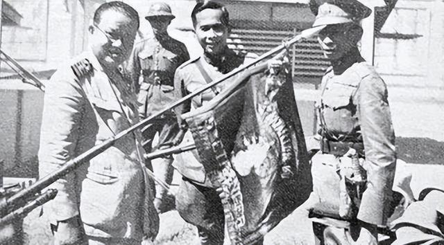 骨肉之情打一个生肖，骨肉之情的生肖