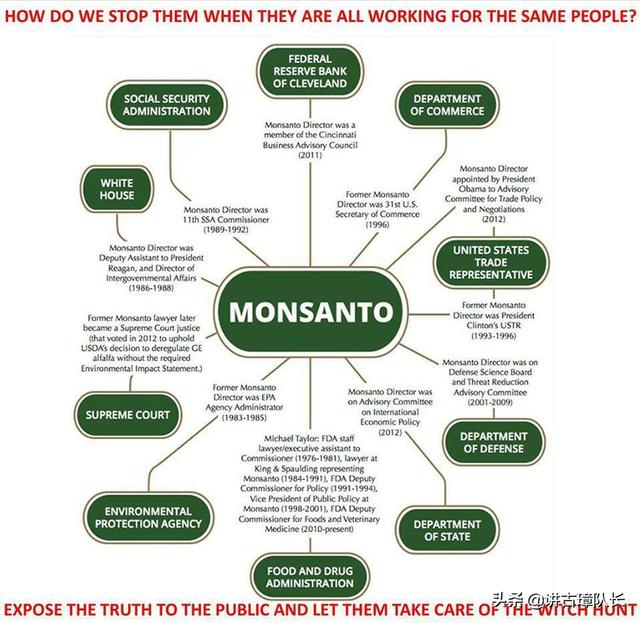 美国孟山都公司简介视频，美国孟山都公司在做什么
