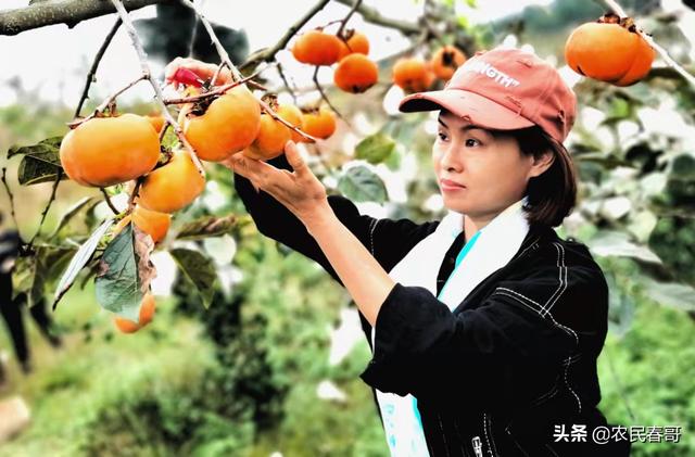 形容农村田园生活的文案，农村田园生活的文案短句